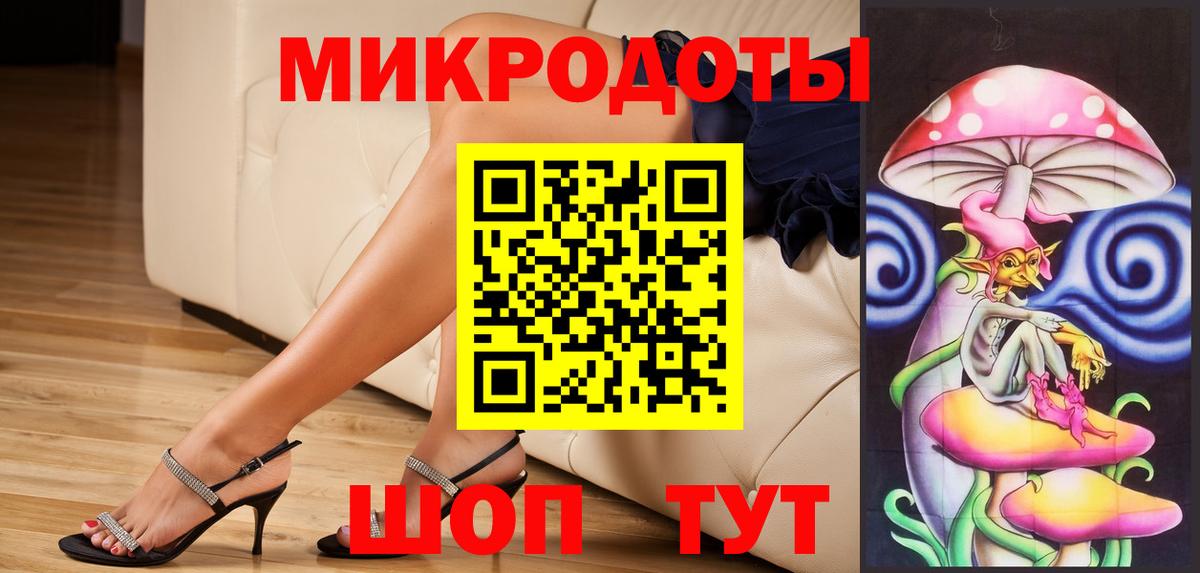 Псилоцибиновые грибы Psilocybe Калининград